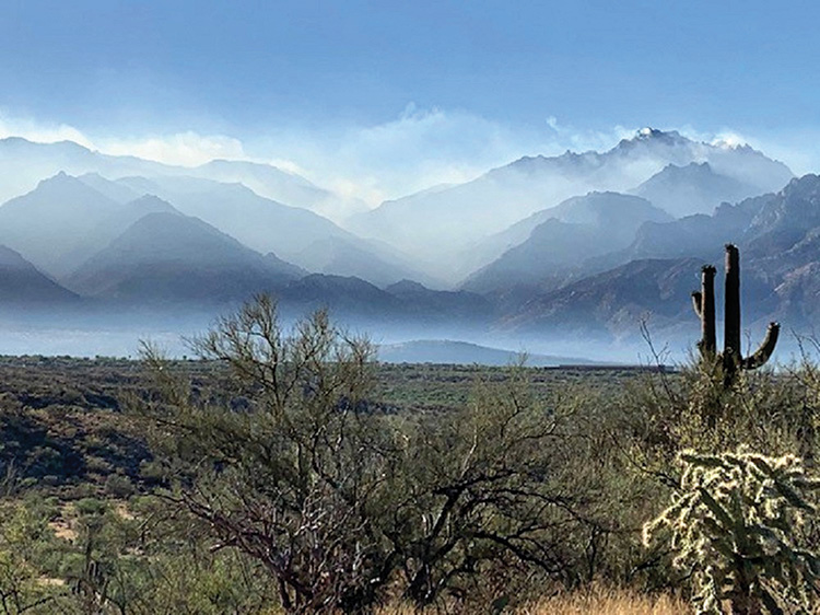 The Catalinas on fire; smoke fills the air (Photo by Elissa Cochran)