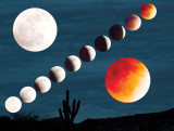 April 2014 Lunar Eclipse by Richard Spitzer