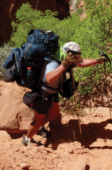 Hiker Harry Ford