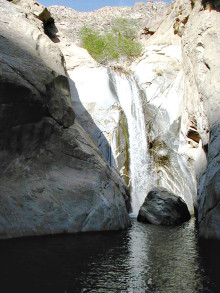 If you go on the SaddleBrooke Hiking Club’s 2015 trip you may have a chance to see Tahquitz Canyon Falls, a spectacular 50 foot desert waterfall on Agua Caliente tribal land near Palm Springs; photo by Dave Sorenson.