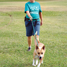 SaddleBrooke newcomer Debbie Grafmiller joined Wags & Walkers this fall to help walk dogs at Pima Animal Care Center; photo by Jan Pede
