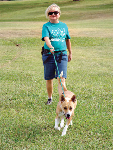 SaddleBrooke newcomer Debbie Grafmiller joined Wags & Walkers this fall to help walk dogs at Pima Animal Care Center; photo by Jan Pede