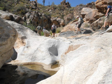 If you’re new to hiking in Arizona, the SaddleBrooke Hiking Club has a program just for you!