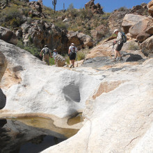 If you’re new to hiking in Arizona, the SaddleBrooke Hiking Club has a program just for you!