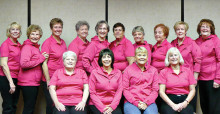 Front row from left:  Joanne Neuman, Cathy Scott, Stef Modos and Ann Cristofani; Back row from left: Sandy Strack, Roberta Wisniewski, Carolyn Johnson, Maralyn Shirk, Marcia Munich, Diane Steele, Pat Fink, Pat Wells, Vicki Strief and Marijo Lewis