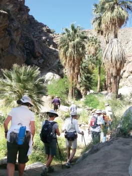 Palm Springs hiking trip – something for everyone! – SaddleBrooke Progress