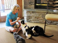 Adopted cats Mesquite, Callie and Barney not only love lining up for their treats but also support pet rescue.