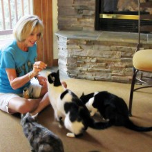 Adopted cats Mesquite, Callie and Barney not only love lining up for their treats but also support pet rescue.