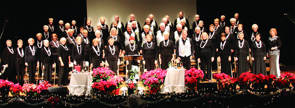 SaddleBrooke Singers at their December 2014 concert; photo by Jim Van Brocklin
