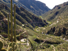 A glimpse into Sabino Canyon