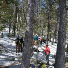 Carefully trekking their way along the Bristlecone Trail Loop in the Spring Mountains near Las Vegas