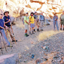 SaddleBrooke hikers looking up at the numerous petroglyphs: Myrna Simms, Joyce and Joe Maurizzi, Mike Wolters, Sy Efron, Fred Norris, Rob Simms, Margaret Valair and Dave Corrigan (missing, Sharon Simpson); photo by Elisabeth Wheeler