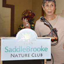 Doris Evans speaking at SaddleBrooke Nature Club; photo by Ed Skaff