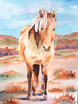 Horse by Fran Dorr
