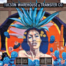 The “Goddess of Agave” mural, located at 440 North 7th Avenue in Tucson, was created by six different artists. Painted on a warehouse wall, the mural’s total size is 2000 square feet!