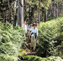 Hikers Carole Miller, Don Taylor, Karen Gray, Karen Schickedanz and Ruth Caldwell (guide). Photo by Ruth Caldwell.