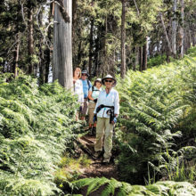 Hikers Carole Miller, Don Taylor, Karen Gray, Karen Schickedanz and Ruth Caldwell (guide). Photo by Ruth Caldwell.