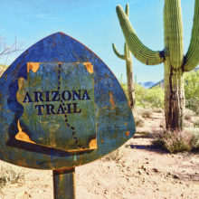 Arizona Trail marker. Photo by Elisabeth Wheeler.