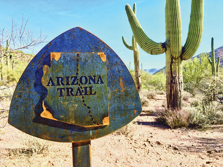 Arizona Trail marker. Photo by Elisabeth Wheeler.