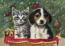 “My Forever Home” by Diana Madaras