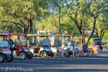 Early arrivers stake out a shady spot at the Preserve to enjoy some good eats and liquid treats during the live music. (Photo by Gary Hodges)
