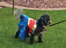 Maddie as Wonder Woman