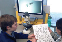 Students from Coronado K-8 who attended the Catalina Island Marine Institute trip in February 2020 were able to snorkel and visit the plankton, shark, and invertebrate labs.