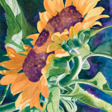 Sunflower by Renee Pearson