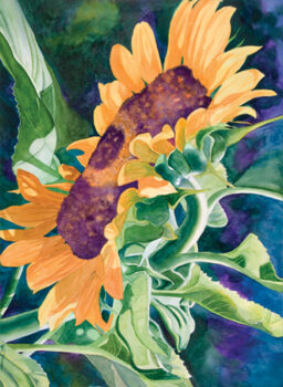 Sunflower by Renee Pearson