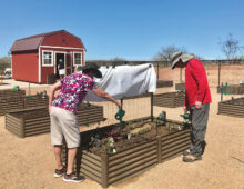 Judy and Bill Henderson planting their garden.
