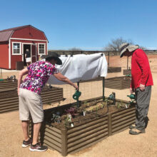 Judy and Bill Henderson planting their garden.
