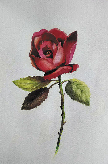 Let's Paint Flowers, by Karen Brungardt