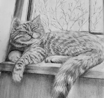 Art by Katherine Evans